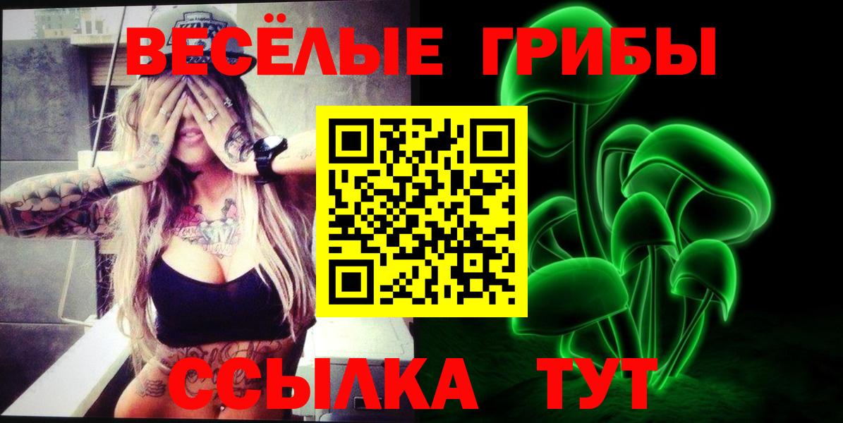 Моздок  Псилоцибиновые грибы Psilocybine cubensis  купить наркотик  Вход с VPN 