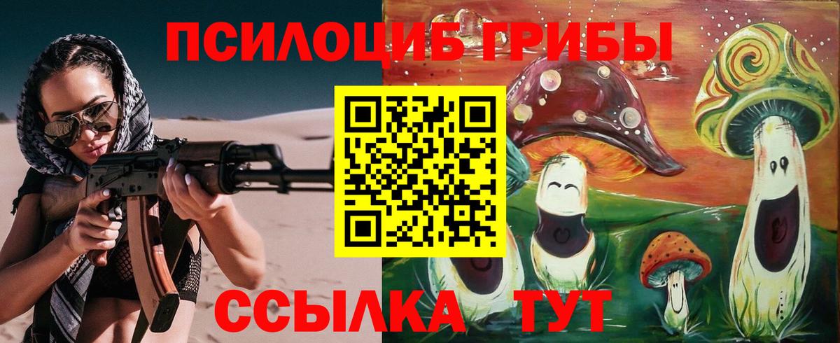 Галлюциногенные грибы Cubensis Моздок