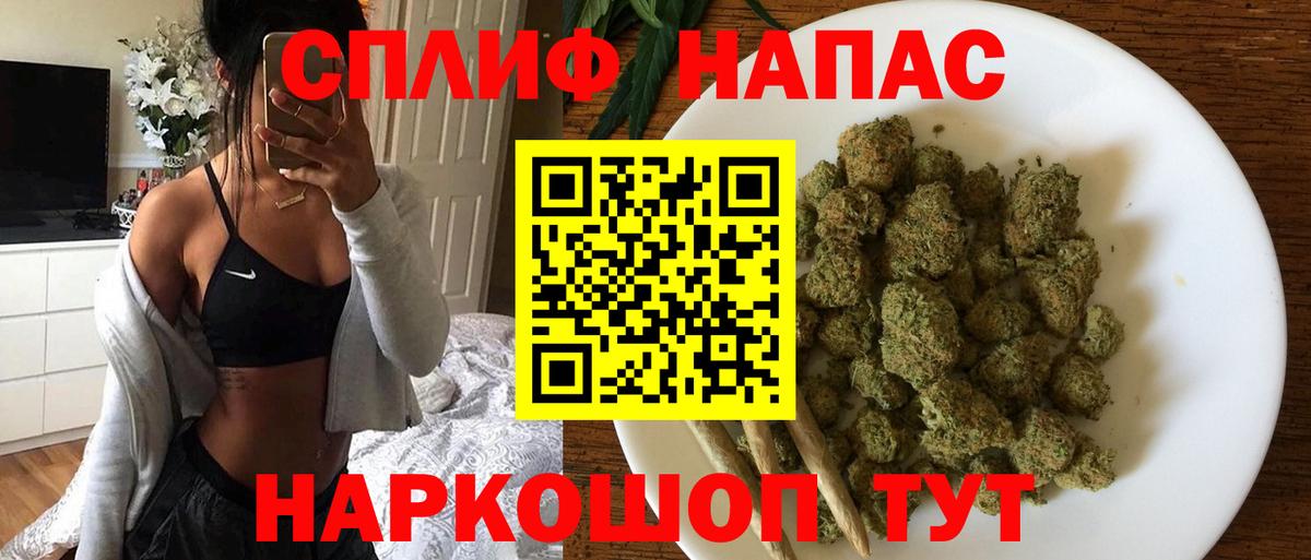 Конопля MAZAR Моздок